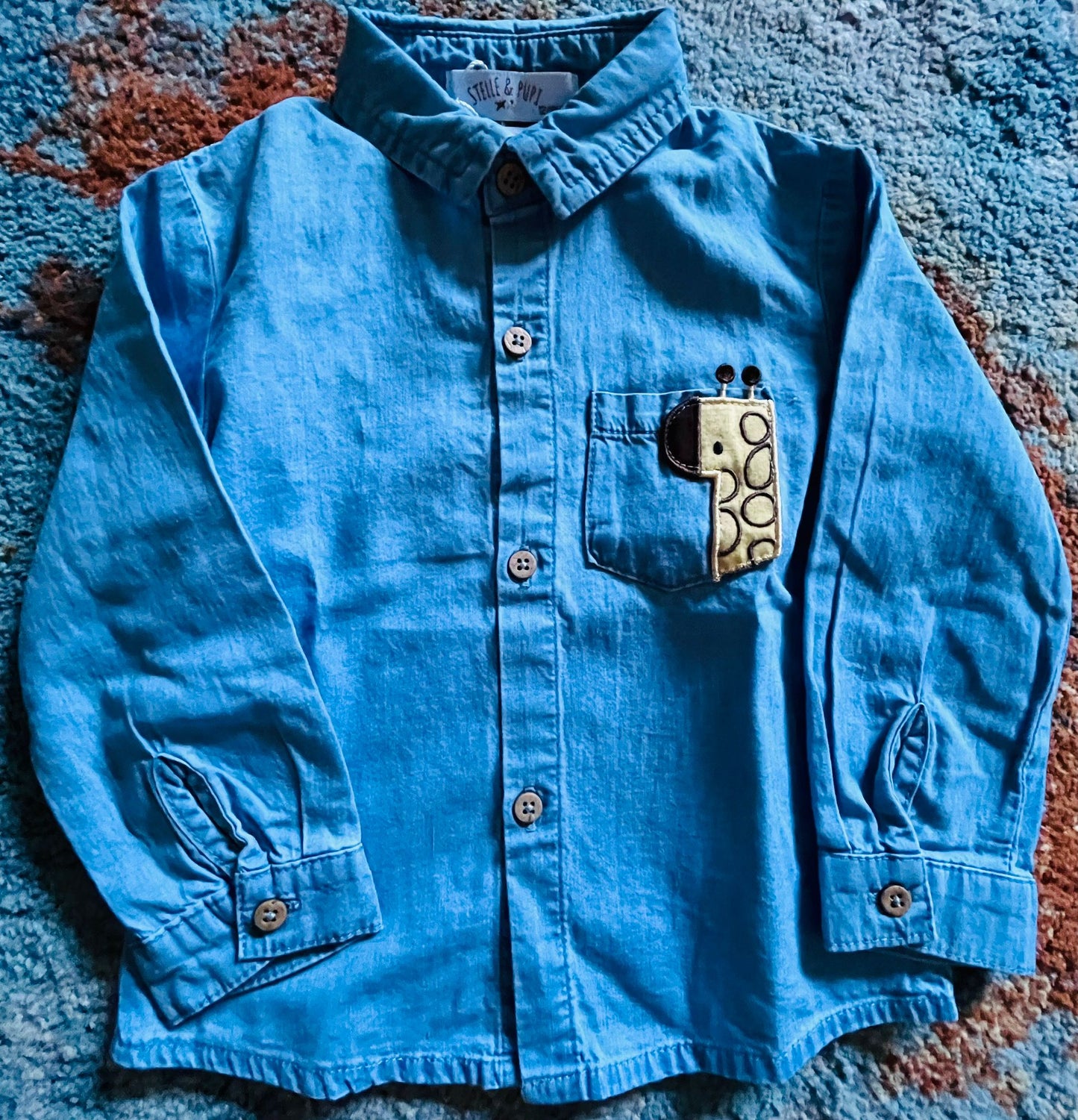 Completo Camicia, Maglia e Pantalone