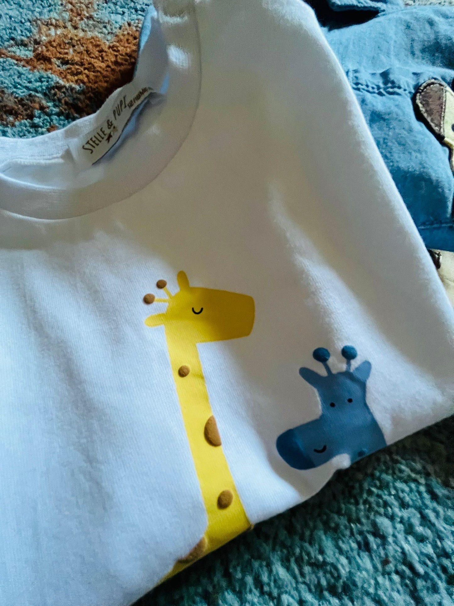 Completo Camicia, Maglia e Pantalone